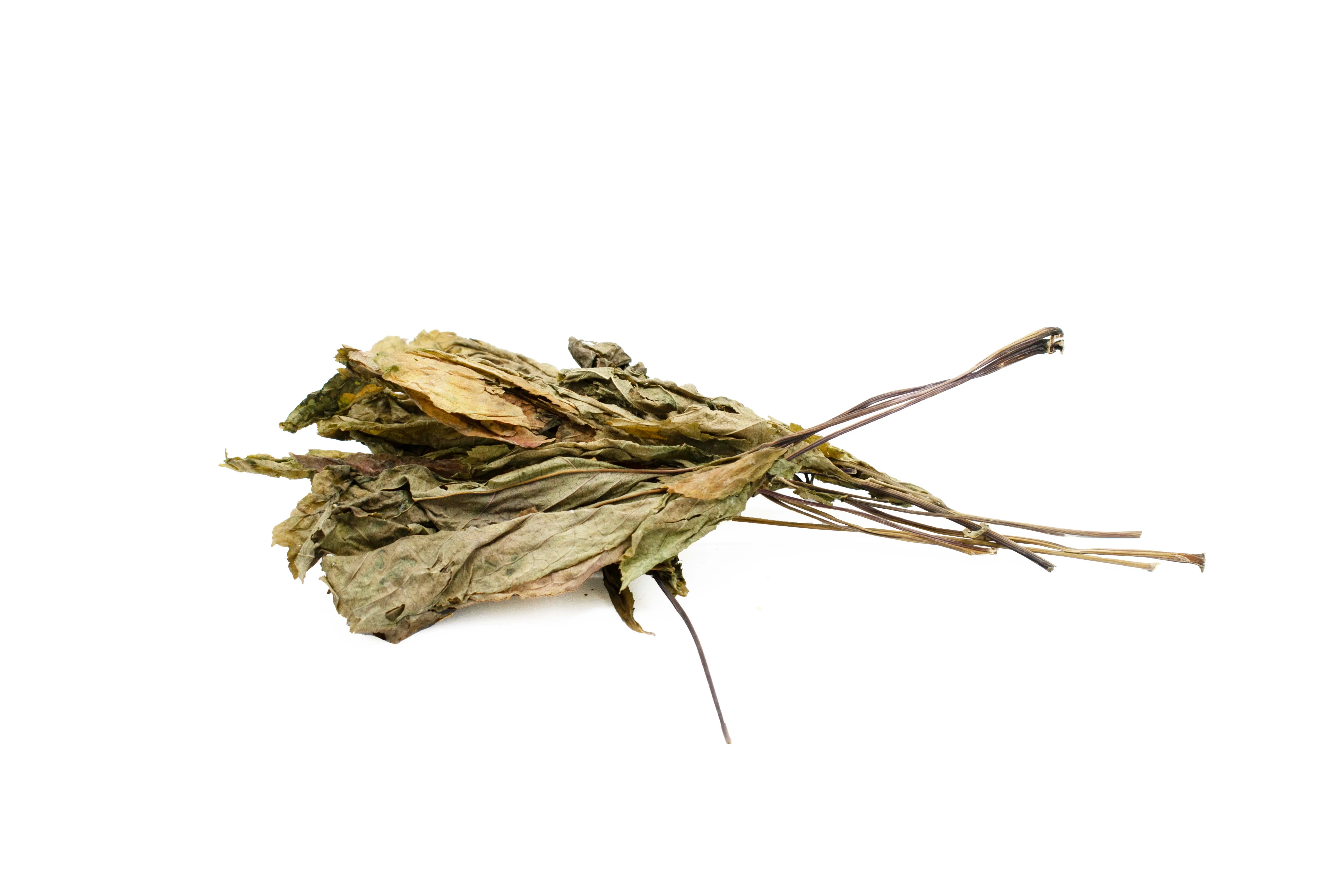 REN SHEN YE - 人参叶 - Ginseng Leaf - Custom Amount