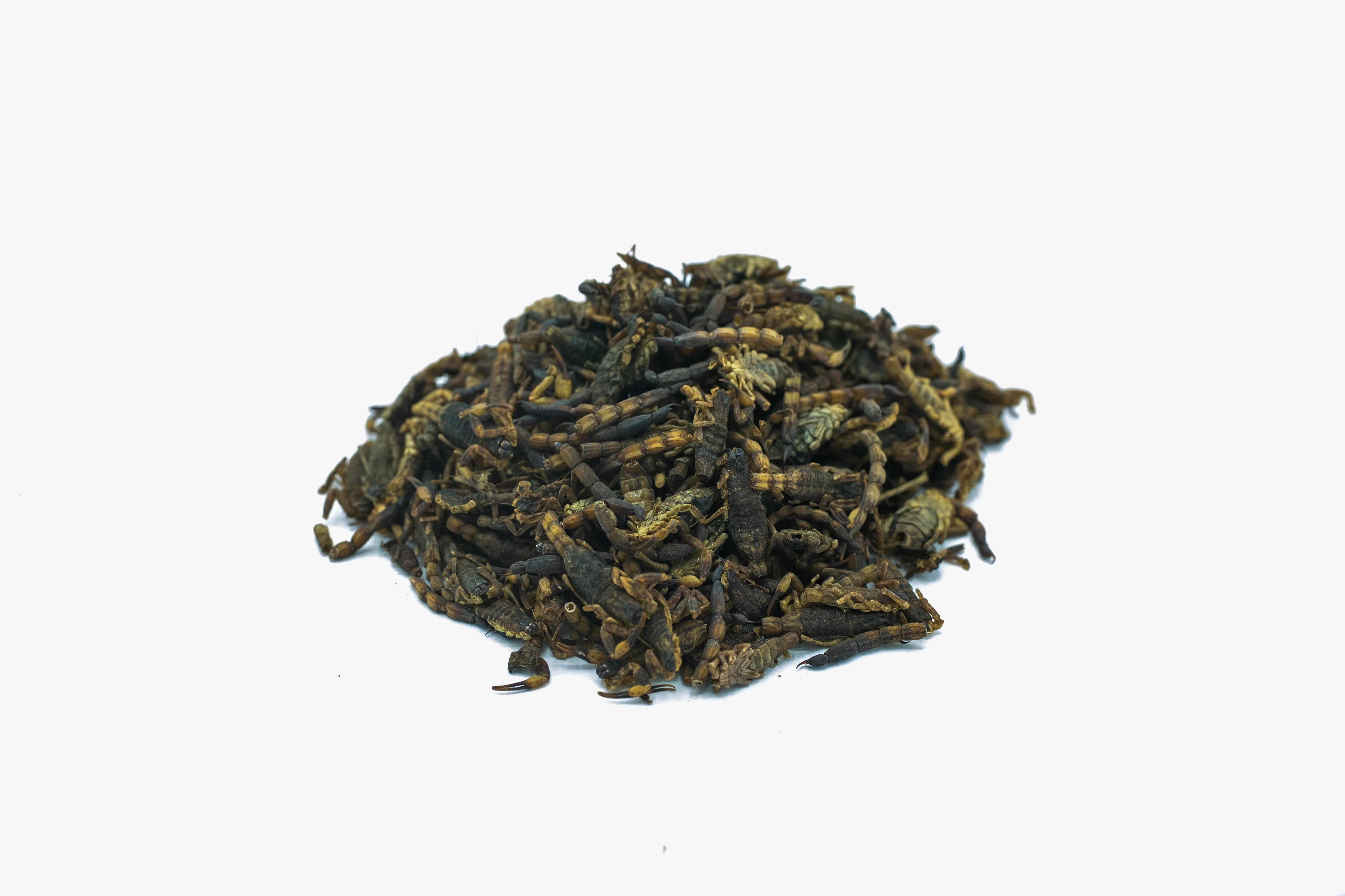 QUAN CHONG - 全虫 - 1只/1 piece