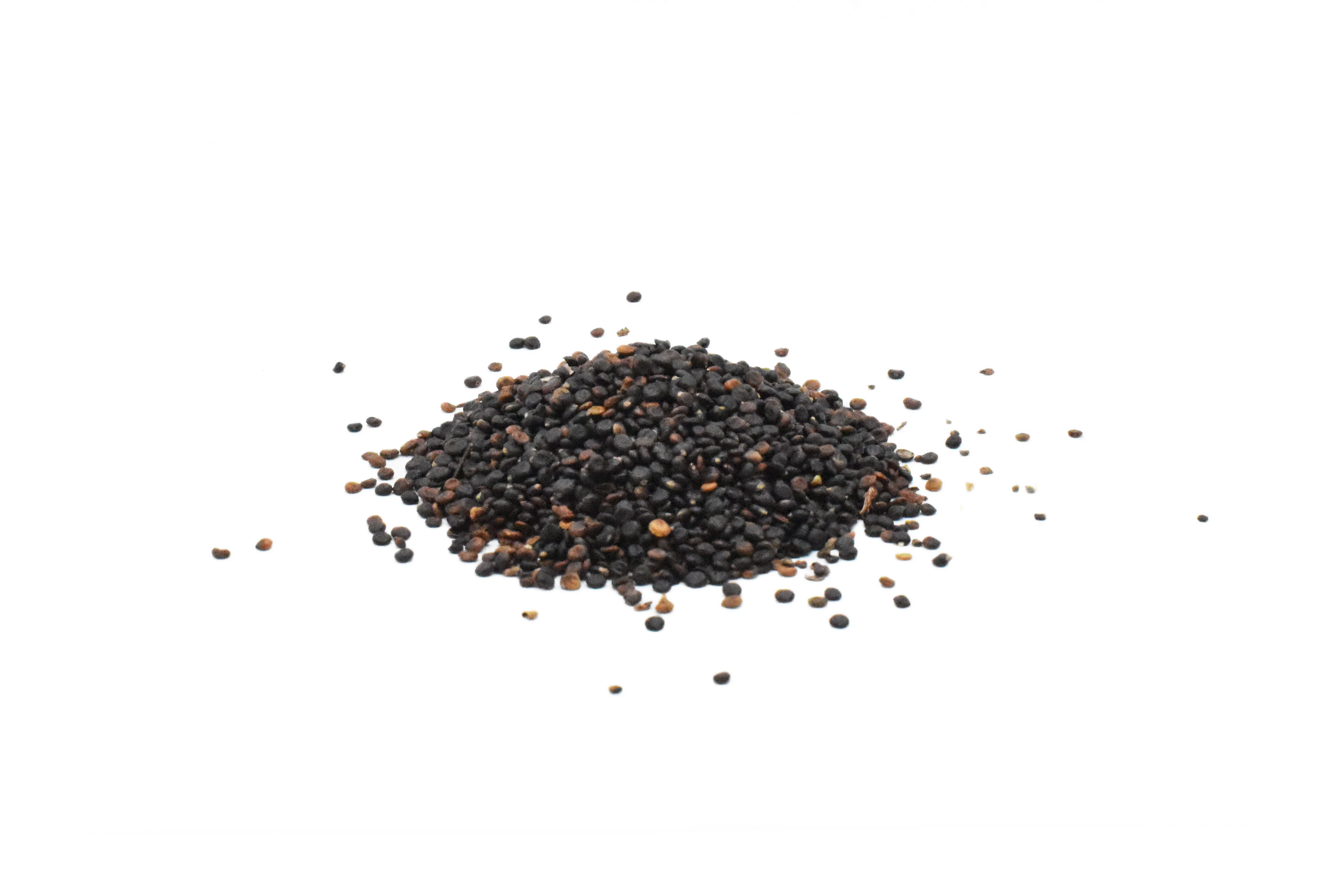 Shui-Hong-Hua-Zi - 水红花子 - Prince's-feather Fruit - Custom Amount