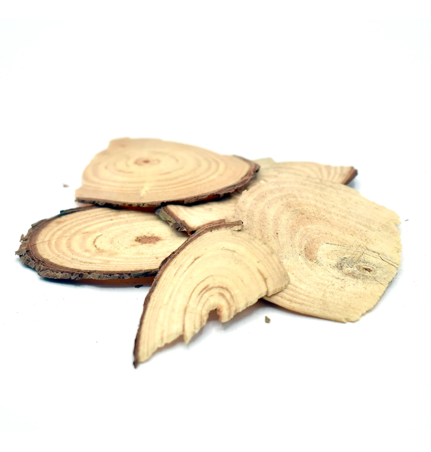SONG JIE - 松节 - Knotty Pine Wood - Custom Amount