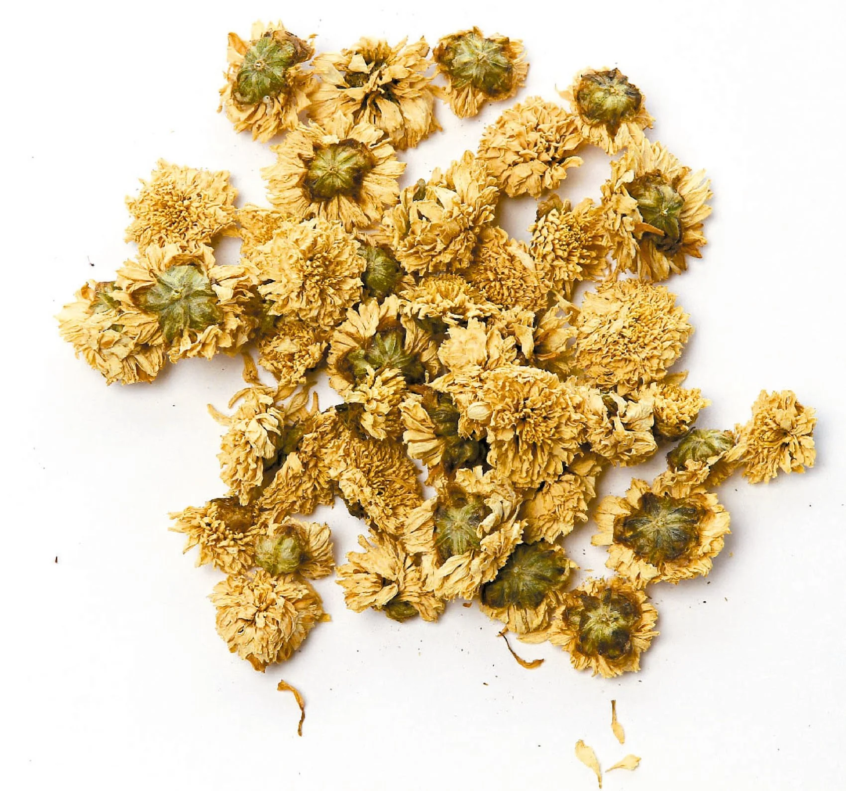 tai-ju-胎菊-chrysanthemum-flower-custom-amount