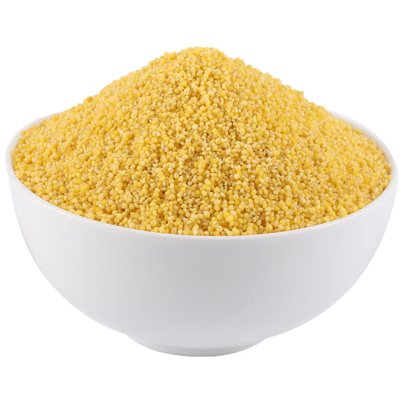 xiao-huang-mi-小黄米-Small yellow rice