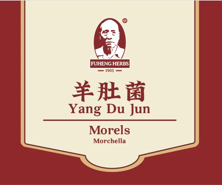 Yang Du Jun - 羊肚菌 - Morchella - Custom Amount-8oz/bag - Image 2